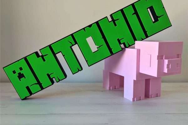 Nombre 3D Minecraft